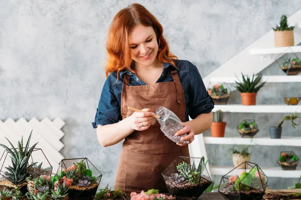 diy florarium yaratıcı eğlence dikim sulu