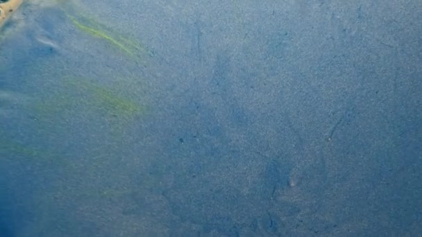 Måla rörelse förtrollad sjö blå glitter vätska — Stockvideo