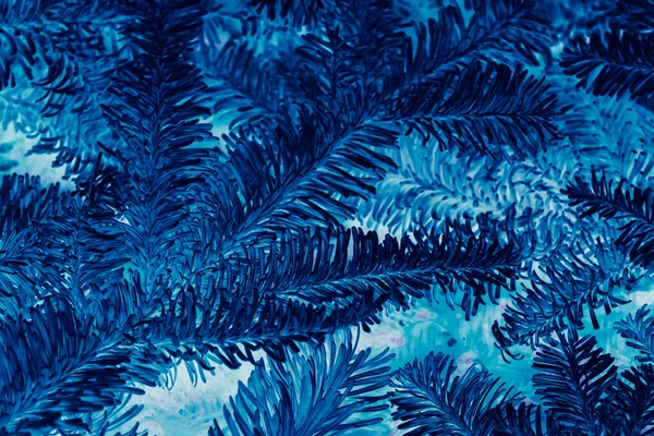 Abstrakte Winter Hintergrund blau Tanne negativ — Stockfoto