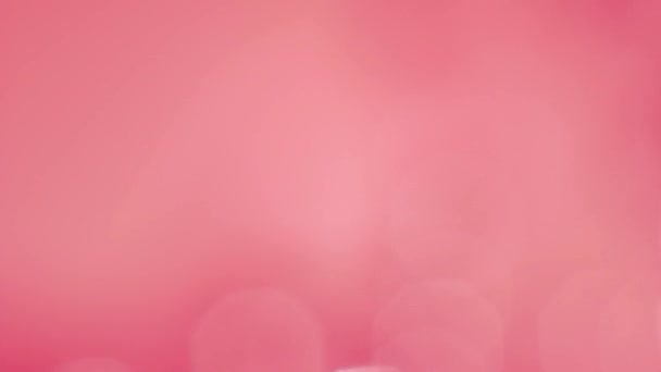 réel lentille fusée rose bokeh lumières flecks mouvement 