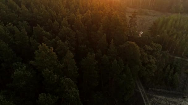 Paisagem florestal vista aérea paisagem horizonte rural — Vídeo de Stock