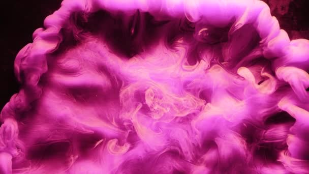 Paint burst water magenta explosion smoke flow — ストック動画