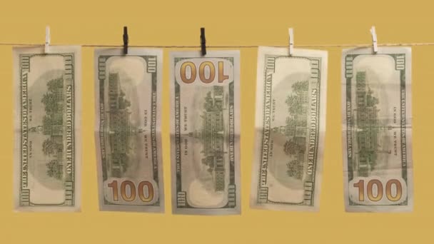 Відмивання грошей нелегальний банківський переказ доларів — стокове відео