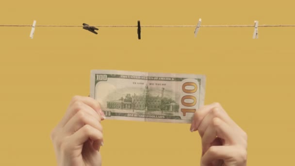 Отмывание денег женщина руки висит доллары сухой — стоковое видео