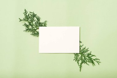 Tebrik kartı maketi. Tebrikler Ardıç Dekor.