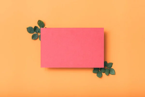 Rosa tomt papper födelsedag hälsning gröna blad — Stockfoto