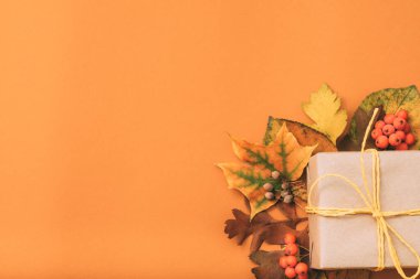 bayram kutlaması hediye kutusu sonbahar yaprakları