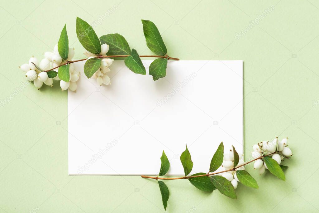 white empty paper holiday greeting mistletoe