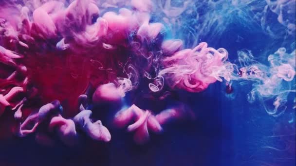 彩墨飞溅粉红烟云喷出蓝色蒸汽 — 图库视频影像