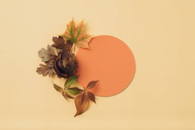 turuncu boş kağıt bayramı sonbahar yapraklarını selamlıyor