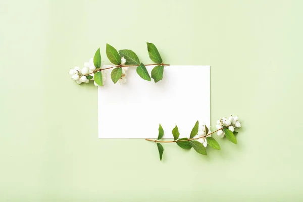 White blank paper birthday mistletoe composition — Stock Photo, Image