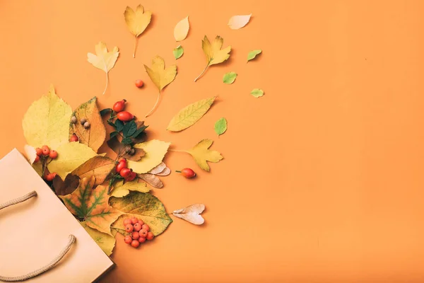Őszi eladás nyaralás bevásárló papír zsák őszi levelek — Stock Fotó