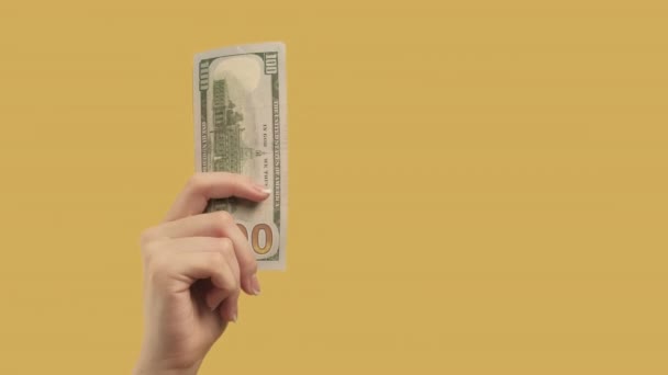 Денежный жест доходный инвестиционный ручной доллар — стоковое видео