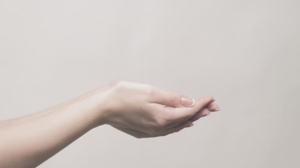 Запропонувати знак жінці відкриті руки набір з 2 жестів сірий — стокове відео