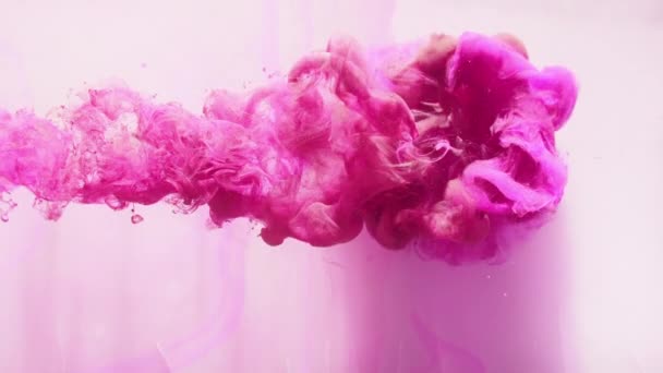 Краска капли пурпурного розового дыма поток белый — стоковое видео