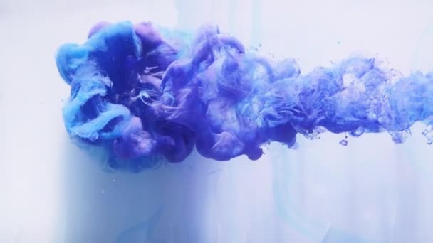 Mürekkep suyu patlaması mavi duman üfleme hareketi beyaz — Stok video