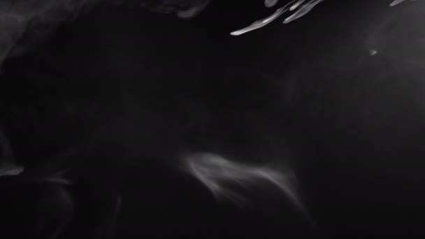 Dampf Bewegung Nacht Nebel weißer Rauch verbreitet schwarz — Stockvideo