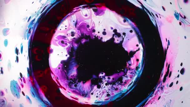 Pintura colorida remolino líquido salpicadura círculo marco — Vídeos de Stock