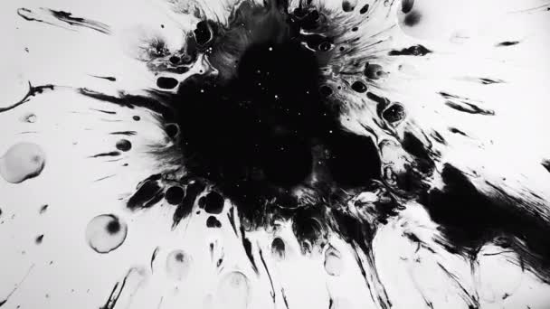 Grunge elvont háttér fekete tinta splash fehér — Stock videók