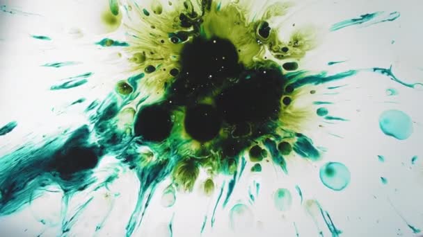 Színes fröccsenés zöld cián kék festék splash folt — Stock videók