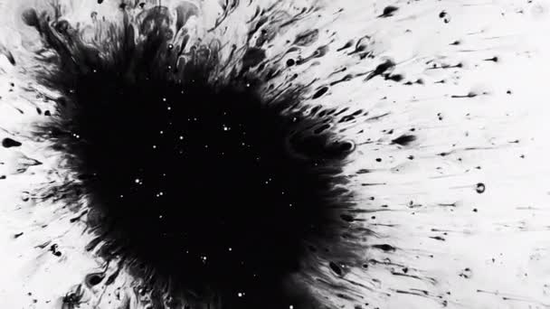 Schwarze Tinte erschossen Schmutz Fleck weiß Kunst Hintergrund — Stockvideo