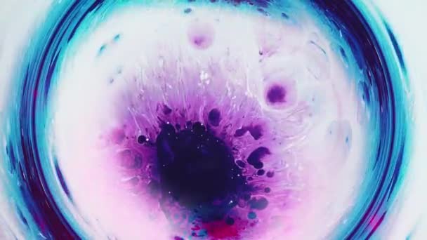 Inchiostro acqua turbinio viola spruzzi di liquido blu cerchio — Video Stock