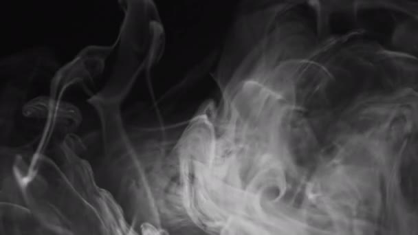 Damp overlay rook wolk wit smog beweging zwart — Stockvideo