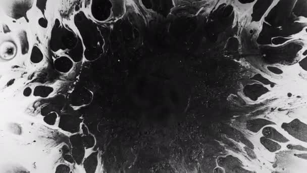 Bläck grunge bakgrund svart vätska stänk vit — Stockvideo