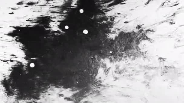 Grunge abstract background black ink stain white — Stock Video