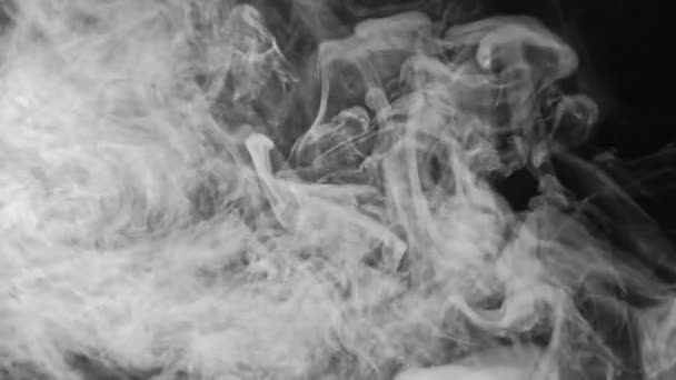 Фон дыма текстура белый пар черный — стоковое видео