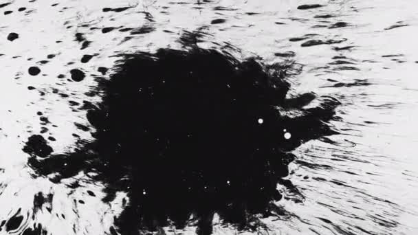 Černá šmouha bílá skvrny vzor umění pozadí — Stock video