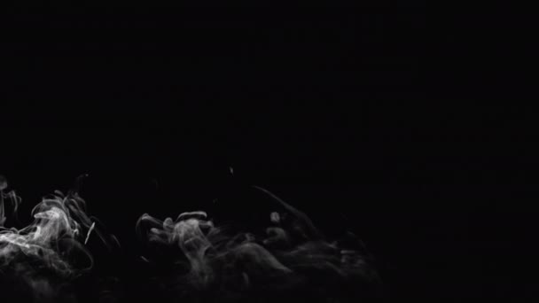 Grunge Rauch Hintergrund weißer Dampf Bewegung schwarz — Stockvideo