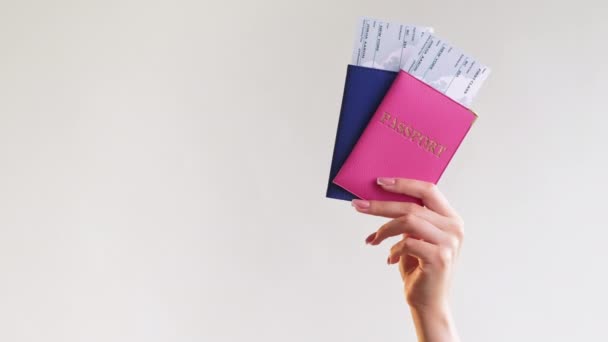 Passkontrolle internationale Reise Handtickets — Stockvideo