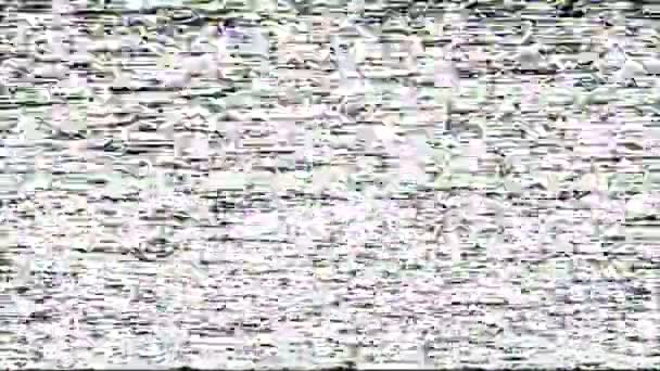 Real tv noise no signal black analog glitch white — Stock Video