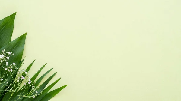 Blommor bakgrund gratulationskort gröna blad dekor — Stockfoto