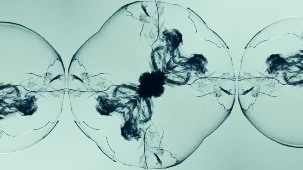 Tinta de animação fractal tiro água preto fumaça vidro — Vídeo de Stock