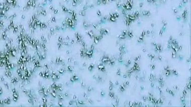 mavi hareket arka plan fantezi mikropları kabarcıklar