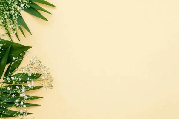 花の背景グリーティングカード緑の葉桃 — ストック写真