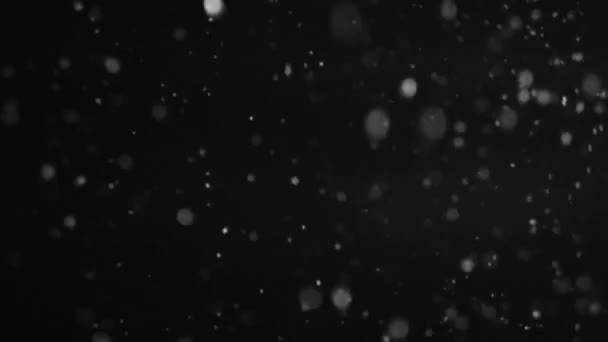 Falling snow background blur flakes motion black — Stock Video