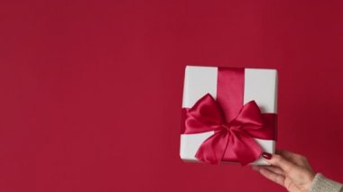 Yeni yıl sürpriz Noel hediyesi Kış tatili