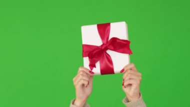 Yeni yıl sürpriz tatilleri. Özel bir karşılama.