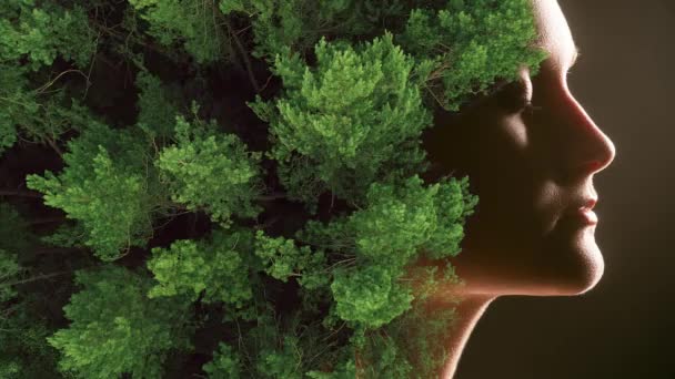 艺术肖像自然美女森林树叶 — 图库视频影像