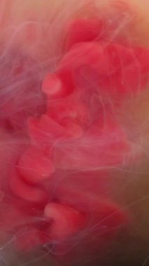Dikey video. Boyayla boyanmış. Boya sisi. Pembe su altı mürekkebi akışı bej rengi şeftali rengi bulanık mistik sıvıda yüzüyor. Sanat dokusu soyut renk sıvı arkaplanı.