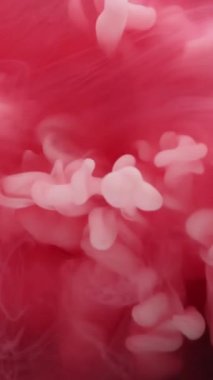 Dikey video. Duman bulutu. Mürekkep atışı. Beyaz sprey karışımı kırmızı pembeli sıvı. Renkli çözünmüş sis suyunu harmanlamak soyut arkaplan sihirli dokusu.