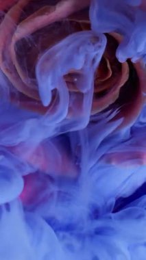 Dikey video. Su damlası gül çiçeği. Duman dokusu. Odaklanmamış pembe renk bitki yaprakları soyut sanat arka planına yayılan su mürekkebi sıvısını boyarlar..