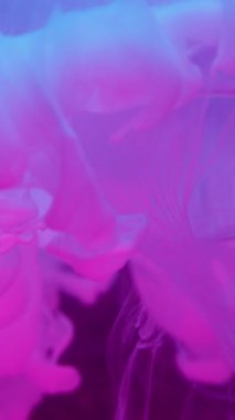 Dikey video. Sis mürekkebi. Küre şeklinde. Odaklanmamış pembe neon rengi su ıslak doku soyut ışık arka planında yüzen yaratıcı sıvıyı sıçratır.