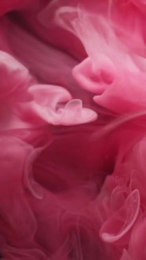 Dikey video. Mürekkep buharı. Duman karışımı. Pembe sıvı pigment dalga sarmal girdabı renk karışımı soyut siyah arkaplan. Su sisi dokusu girdap bulanıklığı akışı.