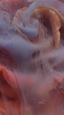 Dikey video. Mürekkep çiçeği. Gül dumanı. Odaklanmamış mavi renkli bitki yaprakları soyut sanatın parlak arka planına yayılan su kokusu dokusu sıçratır..