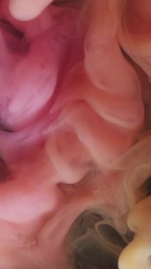 Dikey video. Sis akışı. Duman karışımı. Pembe şeftalili turuncu girdap dumanlı mürekkep damlası suya düştü. Mistik sıvı bulanık bulut esintisi soyut doku arkaplanı sıçratır.