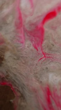 Dikey video. Sıvı lekeler. Akışkan sanat. Odaklanmamış kırmızı kırmızı renk. Kirli dalgalanma dokusu. Soyut arkaplan üzerine su sıçratan boya..